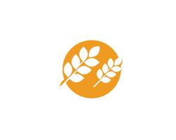 Logos de trigo de agricultura vector