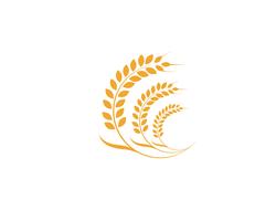 Trigo de agricultura Logo plantilla vector icono diseño