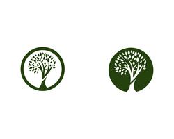 family tree logo template vector