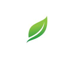 Vector logo de hoja verde