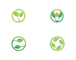 Logotipos de vector de elemento de naturaleza de hoja verde ecología