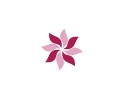 Ilustración de diseño de flores de icono de plumeria de belleza vector