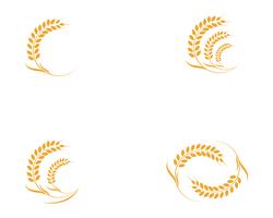 Agriculture wheat Logo Template vector icon design