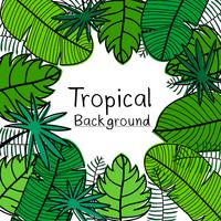Hand Drawn Tropical Leaves Background.