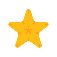 Starfish vector, tropical related flat style icon vector