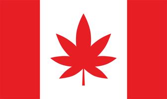 Bandera de canada con hoja de maijuana. vector