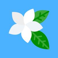 Plumeria vector, tropical related flat style icon