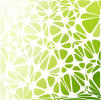 Green modern Style, Creative Design Templates vector