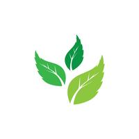 Logotipos de ecología de hoja de árbol verde.