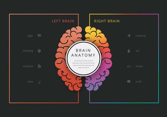 Brain Infographic Vector Art Icons And Graphics For Free Download Brain Infographic Vector Art Icons And Graphics For Free Download