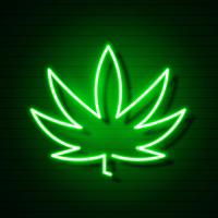 Logotipo de Cannabis Hoja de neón que brilla intensamente. vector