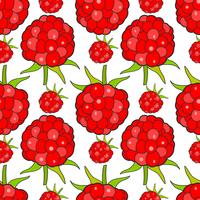 Seamless Background With Raspberries, Vector Image Ready For Your Design