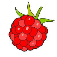 Raspberry Sketch Vector Ready For Your Design, Greeting Card