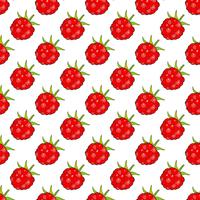 Seamless Background With Raspberries, Vector Image Ready For Your Design