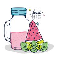 Desintoxicación jugo de frutas vector