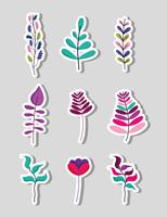 Set of leaves vector