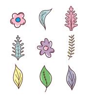 Set of flowers and leaves vector