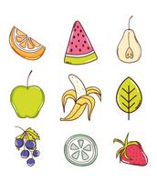 Set of fruits collection vector