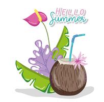 Hola tarjeta de verano vector