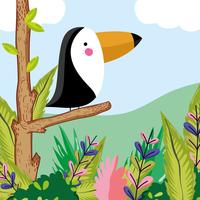 Cute tucan wildlife bird vector