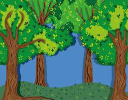 Beautiful forest scenery vector