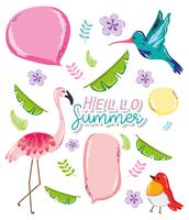 Hello summer card vector