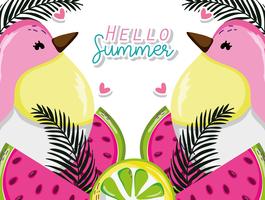 Hello summer card vector