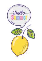 Hello summer cartoons vector