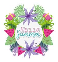 Hello summer card vector