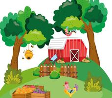 Beautiful farm cartoons vector