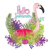 Hello summer card vector