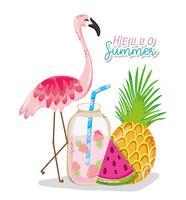 Hello summer card vector