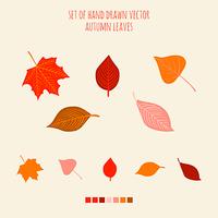 Set of vector hand drawn leaves with palette