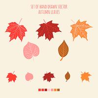 Set of vector hand drawn leaves with palette