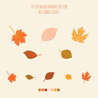 Set of vector hand drawn leaves with palette