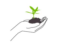 Growing plant in hands