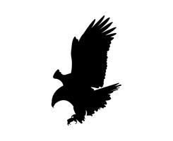 eagle flying silhouette vector