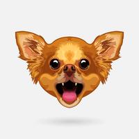 chihuahua dog head vector