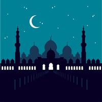 Sheikh Zayed Mosque in Abu Dabi. Starry sky.  vector