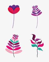 Set of flowers vector