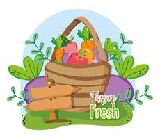 Farm fresh cartoons vector