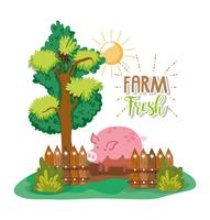 Farm fresh cartoons