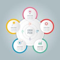 infographic design business concept with 5 options. vector