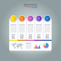 Timeline infographic business concept with 5 options vector