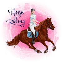 Woman Horseback Riding. Equestrian Sport. vector