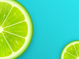 Lime Slice On Teal Vector Background