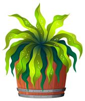 Una planta verde en maceta. vector