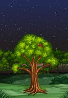 Nature scene at night time vector