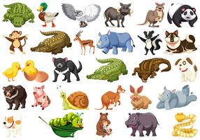 Conjunto de caracteres animales.