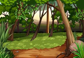 Escena con arboles y campo en bosque vector